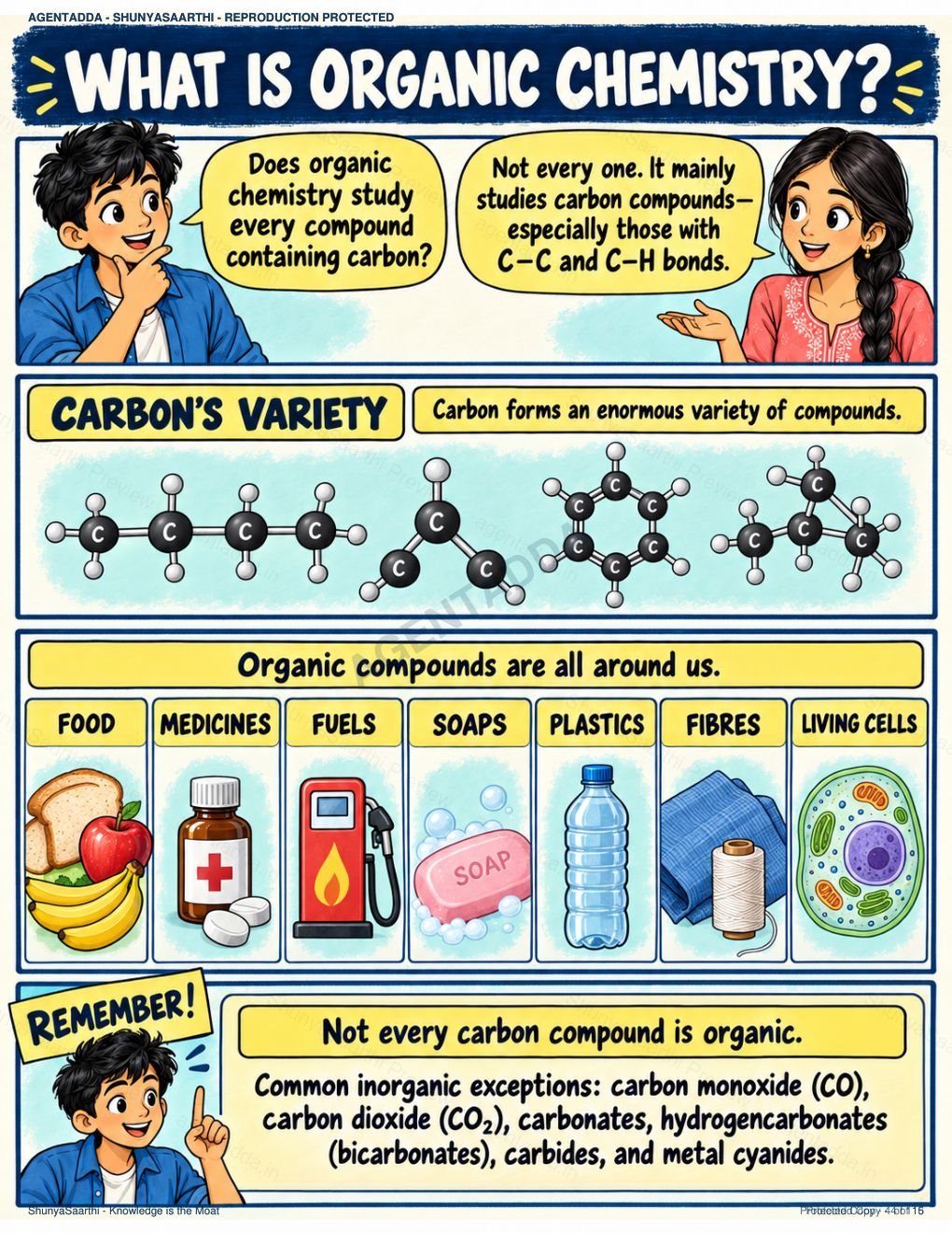 Organic Chemistry — Foundations & Carbon's Rulebook preview cover